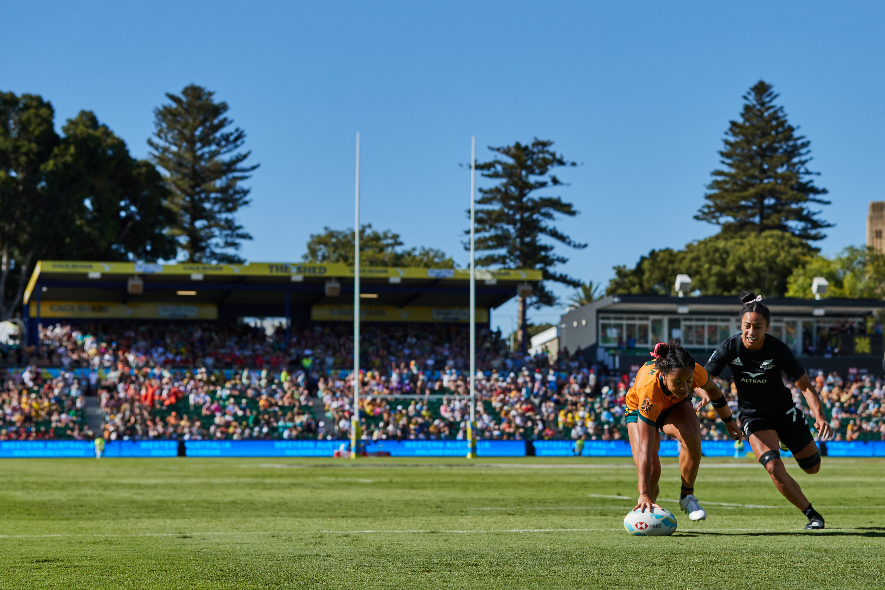 A photo of the two rugby players competing with a crowd in the background