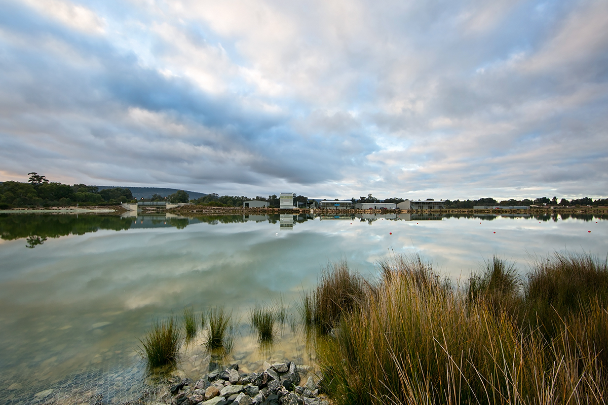 A photo of the lake that the Champion Lakes Regatta Centre resides on