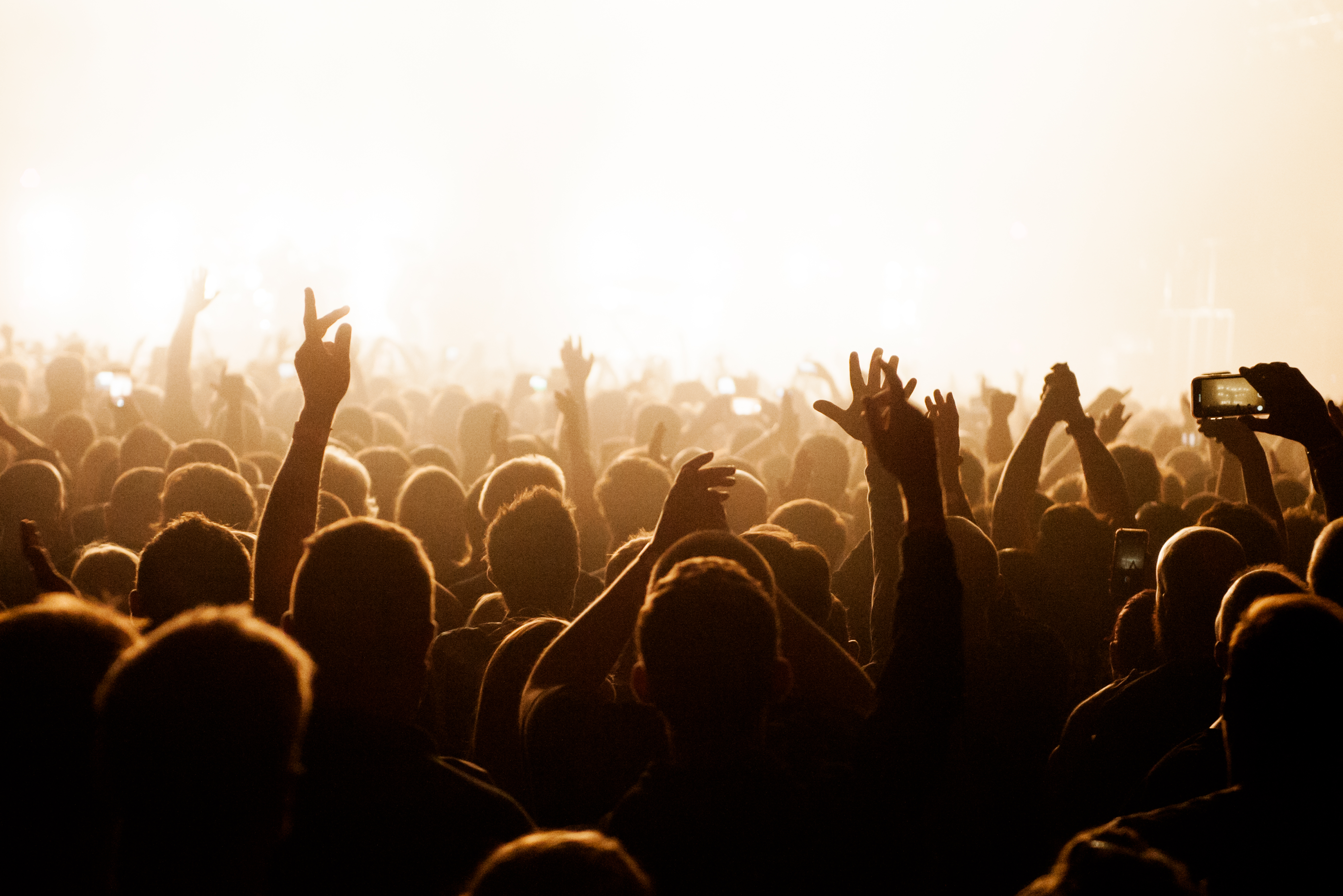 A photo of the back of people standing in the crowd during a performance at RAC Arena in Perth